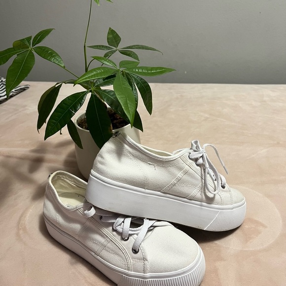 - Steve Madden - Women's Elore
Sneaker - Picture 6 of 7